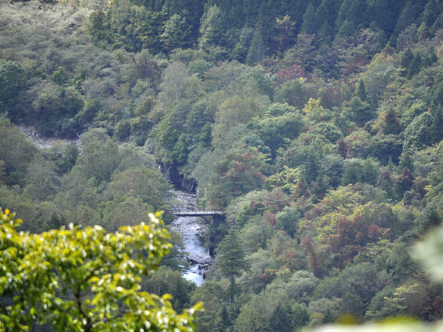 ����X�ѓS��,�p����,�ѓS,�y�Y�{�J����,�O�Y�_����,�O�Y�����r