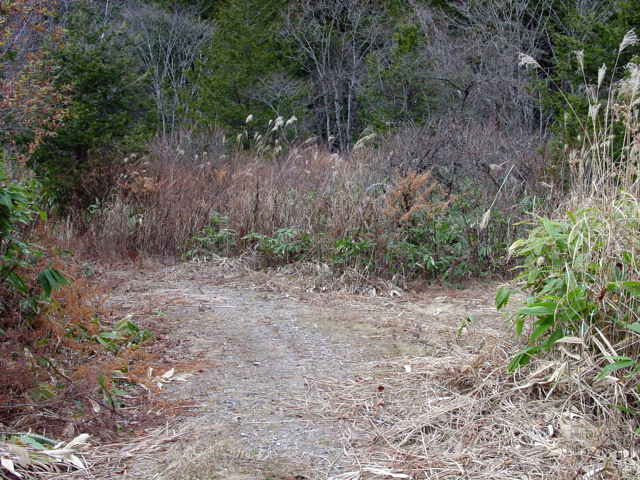 ����X�ѓS��,�ѓS,�p����,�y�Y�X�ыO��,�ؑ]�X