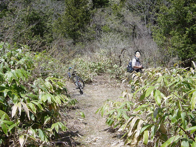 ����X�ѓS��,�ѓS,�p����,�y�Y�X�ыO��,�ؑ]�X