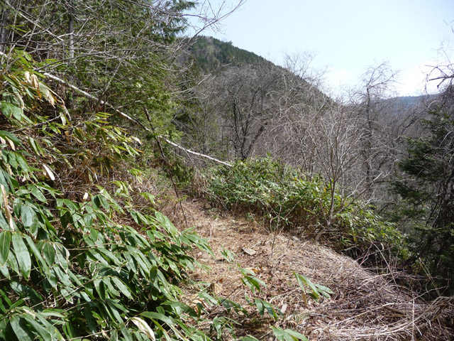 ����X�ѓS��,�p����,�ѓS,�ؑ]�X