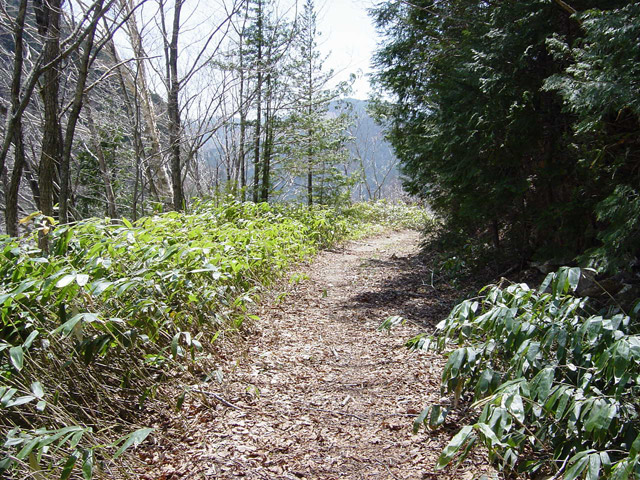 ����X�ѓS��,�p����,�ѓS,�ؑ]�X