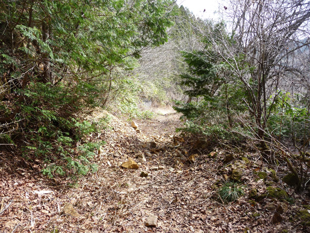 ����X�ѓS��,�p����,�ѓS,�ؑ]�X,�㏼�^�A�c�я�