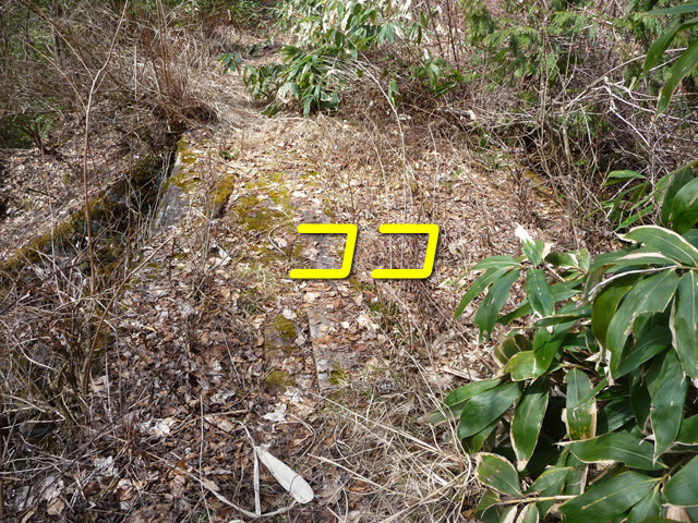 ����X�ѓS��,�p����,�ѓS,�J��,�p��