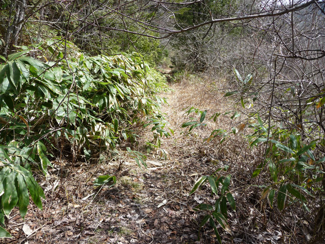 ����X�ѓS��,�p����,�ѓS,�ؑ]�X,�p��