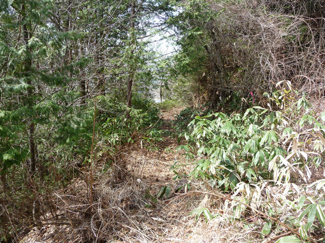 ����X�ѓS��,�p����,�ѓS,�ؑ]�X,�㏼�^�A�c�я�