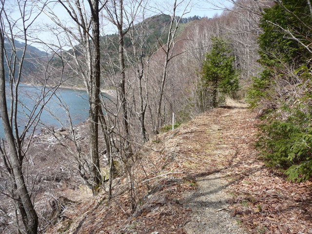 ����X�ѓS��,�p����,�ѓS,�O�Y�_���Δ�,�ؑ]�X