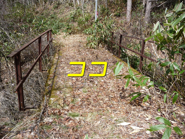 ����X�ѓS��,�p����,�ѓS,�ؑ]�X,����