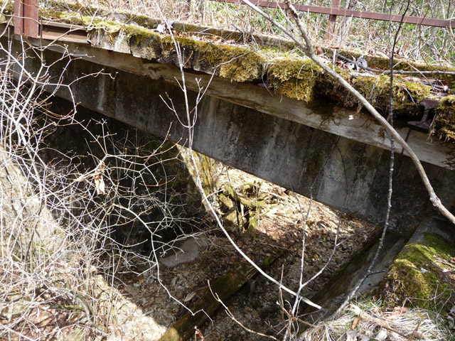 ����X�ѓS��,�p����,�ѓS,�ؑ]�X,����