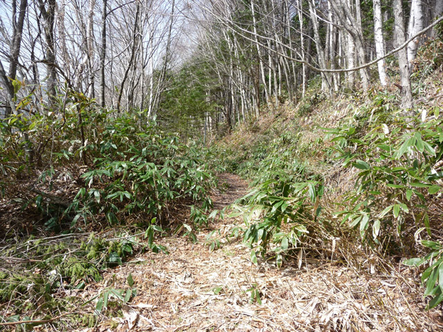 ����X�ѓS��,�p����,�ѓS,�ؑ]�X,�H��,����