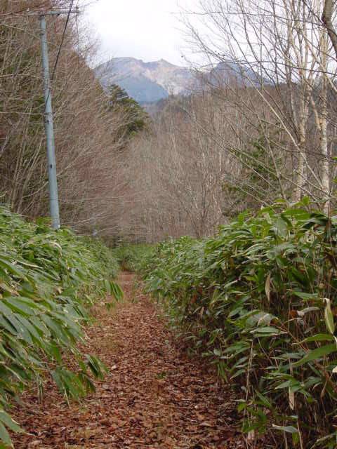 ����X�ѓS��,�p����,�ѓS,�ؑ]�X,��ԎR