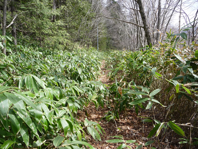 ����X�ѓS��,�p����,�ѓS,�ؑ]�X,�H��,����