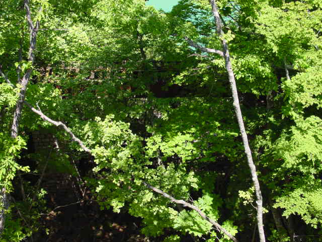 ����X�ѓS�����ː��,�����򋴗�,�ѓS,�p����,�S��