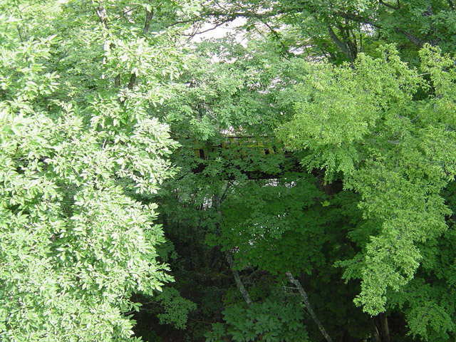 ����X�ѓS�����ː��,�����򋴗�,�ѓS,�p����,�S��