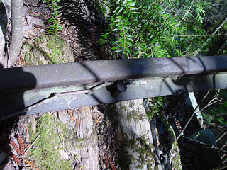 ����X�ѓS�����ː��,�����򋴗�,�ѓS,�p����,�S��