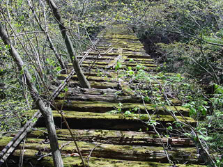 ����X�ѓS�����ː��,�����򋴗�,�ѓS,�p����,�S��