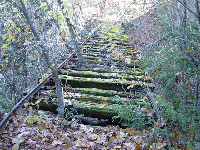 ����X�ѓS�����ː��,�����򋴗�,�ѓS,�p����,�S��