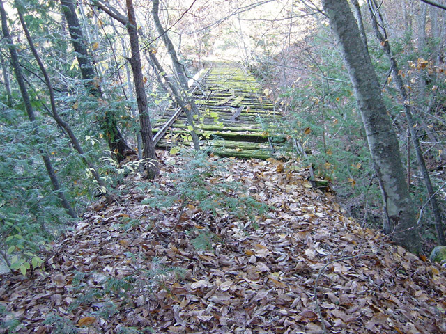 ����X�ѓS�����ː��,�����򋴗�,�ѓS,�p����,�S��