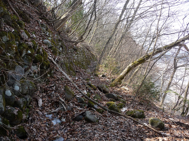 ����X�ѓS�����ː��,�ѓS,�p����