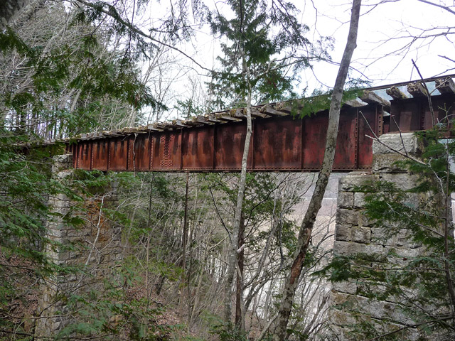 ����X�ѓS�����ː��,�����򋴗�,�ѓS,�p����,�S��