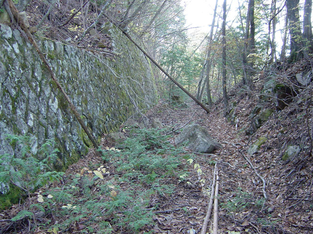 ����X�ѓS�����ː��,�ѓS,�p����,�Ί_