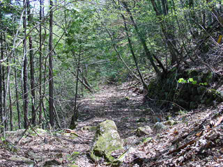 ����X�ѓS�����ː��,�ѓS,�p����,�O����