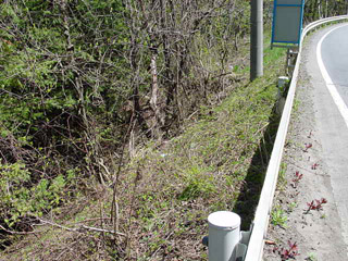 ����X�ѓS�����ː��,�ѓS,�p����,�O����