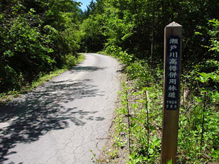 ����X�ѓS�����ː��,�ѓS,�p����,�ѓ�