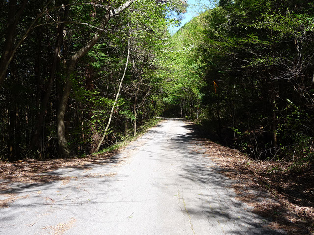 ����X�ѓS�����ː��,�ѓS,�p����,�ѓ�