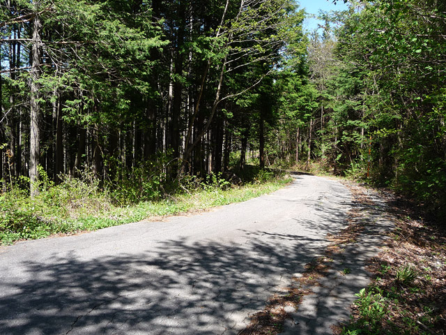 ����X�ѓS�����ː��,�ѓS,�p����,�ѓ�