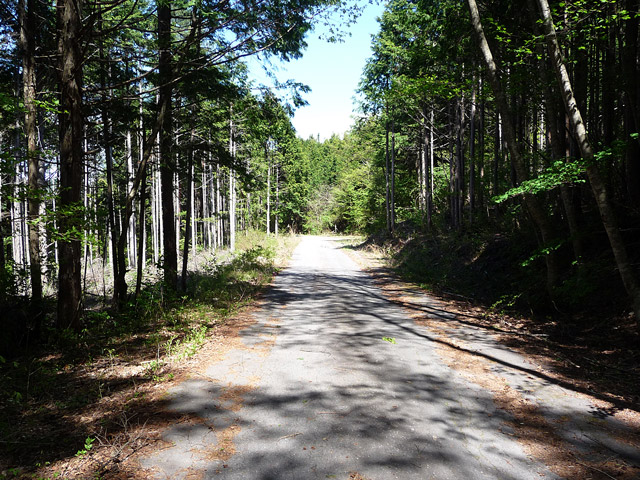 ����X�ѓS�����ː��,�ѓS,�p����,�ѓ�