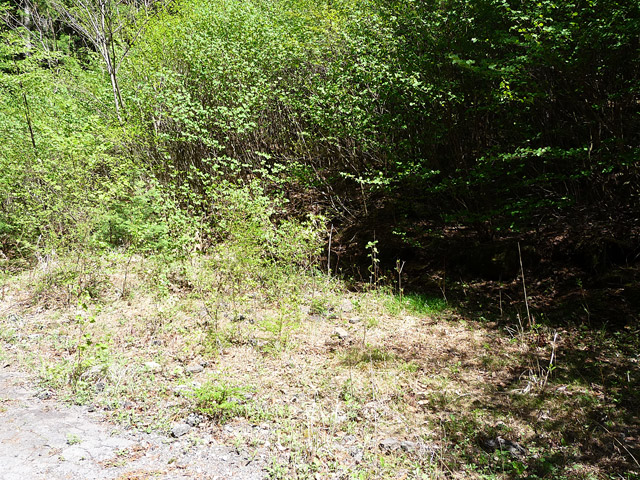 ����X�ѓS�����ː��,�ѓS,�p����,���^�ݎ�