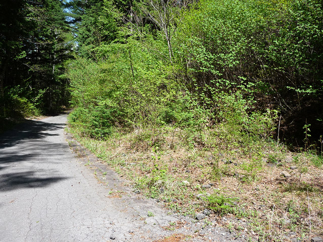 ����X�ѓS�����ː��,�ѓS,�p����,���^�ݎ�