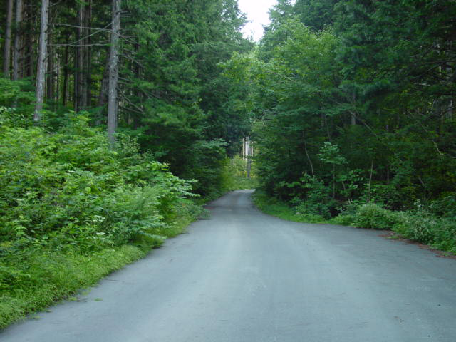 ����X�ѓS�����ː��,�ѓS,�p����,���^�ݎ�