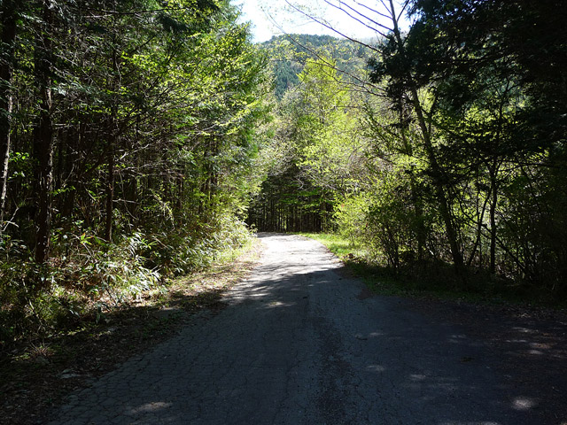 ����X�ѓS�����ː��,�ѓS,�p����,�O����