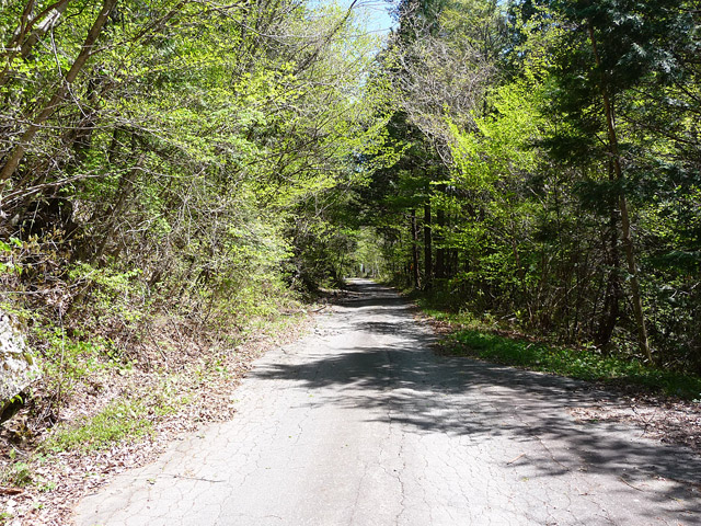 ����X�ѓS�����ː��,�ѓS,�p����,�O����