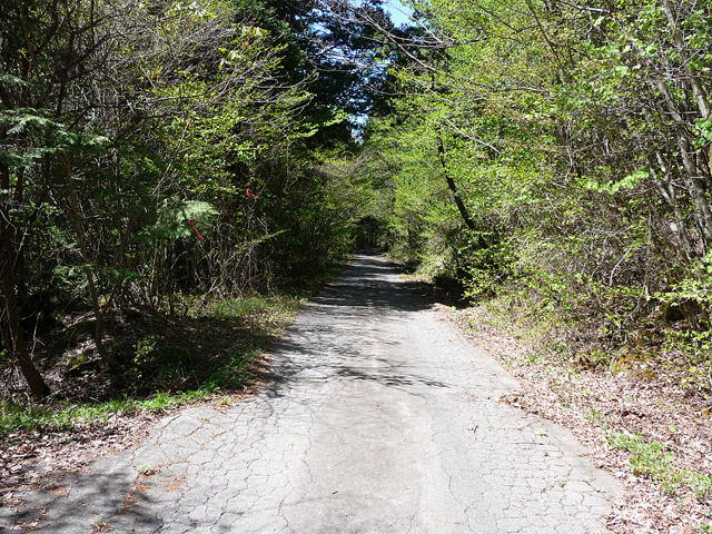 ����X�ѓS�����ː��,�ѓS,�p����,�O����