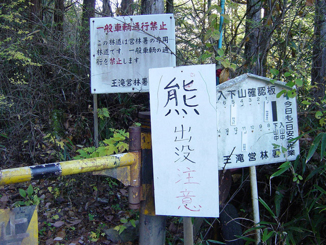 ����X�ѓS�����ː��,�Ŕ�,�ѓS,�p����,�F�o�v����