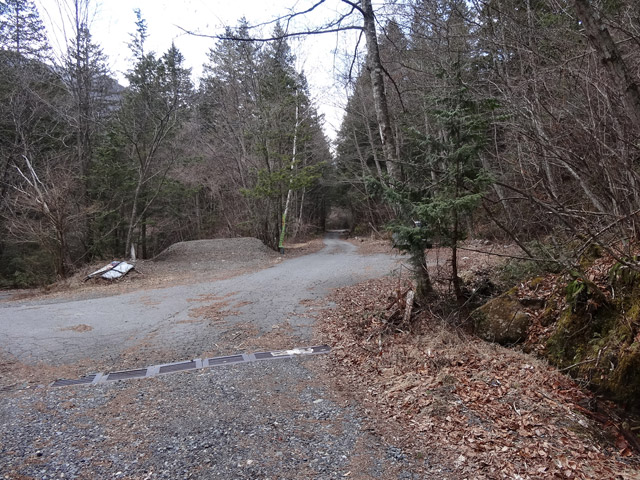 ����X�ѓS�����ː��,�ѓ�,�ѓS,�p����,�O����,�Q�[�g