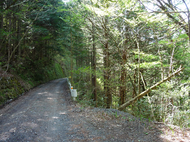 ����X�ѓS�����ː��,�ѓS,�p����,�ʐM��