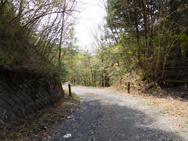 ����X�ѓS�����ː��,�ѓS,�p����,�O����