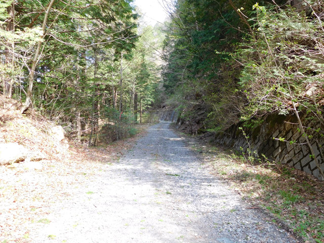 ����X�ѓS�����ː��,�ѓS,�p����,�O����