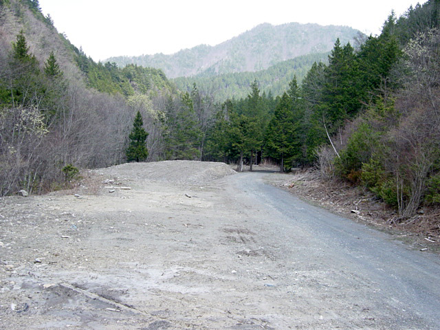 ���ː�X�ѓS��,�ѓS,�p����,��ԏ�,���i���Ə�,���C���X�g���[�g