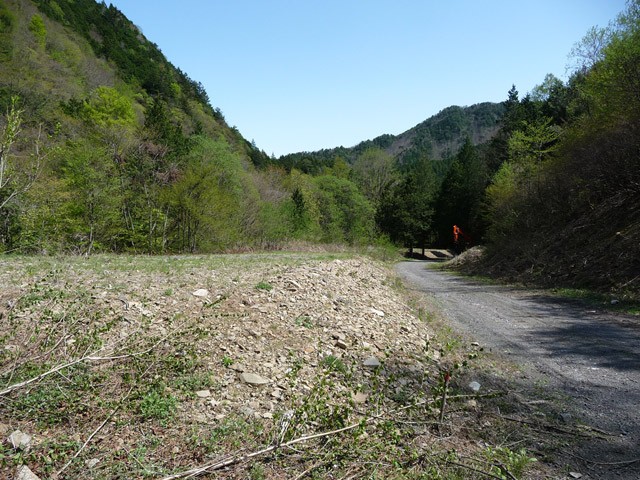 ���ː�X�ѓS��,�ѓS,�p����,��ԏ�,���i���Ə�,���C���X�g���[�g