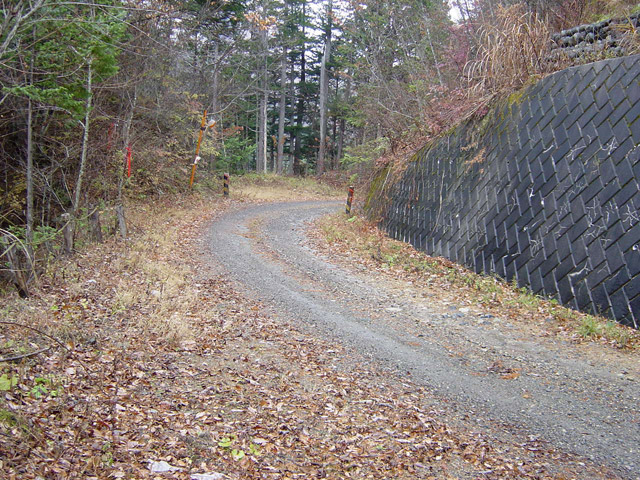 ����X�ѓS�����ː��,�J���򋴗�,�ѓS,�p����,�K�[�_�[��