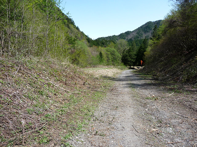 ���ː�X�ѓS��,�ѓS,�p����,��ԏ�,���i���Ə�,�\��,�O����