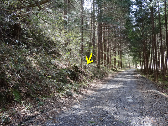 ���ː�X�ѓS��,�ѓS,�p����,��ԏ�,���i���Ə�,����,�O����