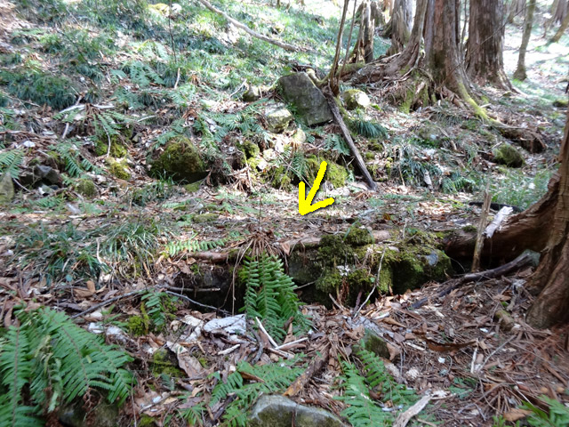 ���ː�X�ѓS��,�ѓS,�p����,��ԏ�,���i���Ə�,����,�O����