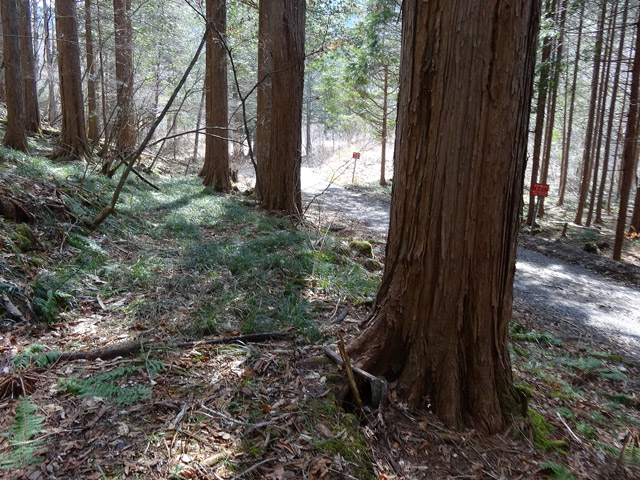 ���ː�X�ѓS��,�ѓS,�p����,��ԏ�,���i���Ə�,����,�O����