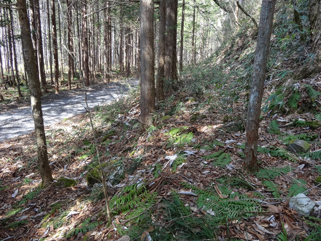 ���ː�X�ѓS��,�ѓS,�p����,��ԏ�,���i���Ə�,����,�O����