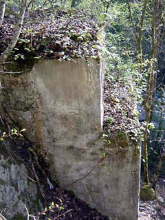 ����X�ѓS�����ː��,�J���򋴗�,�ѓS,�p����,����